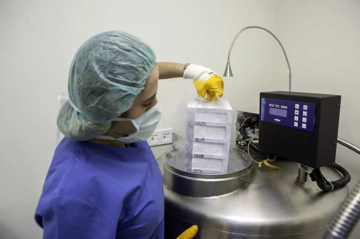 Dondurulmuş embriyo transferi son derece sağlıklı!