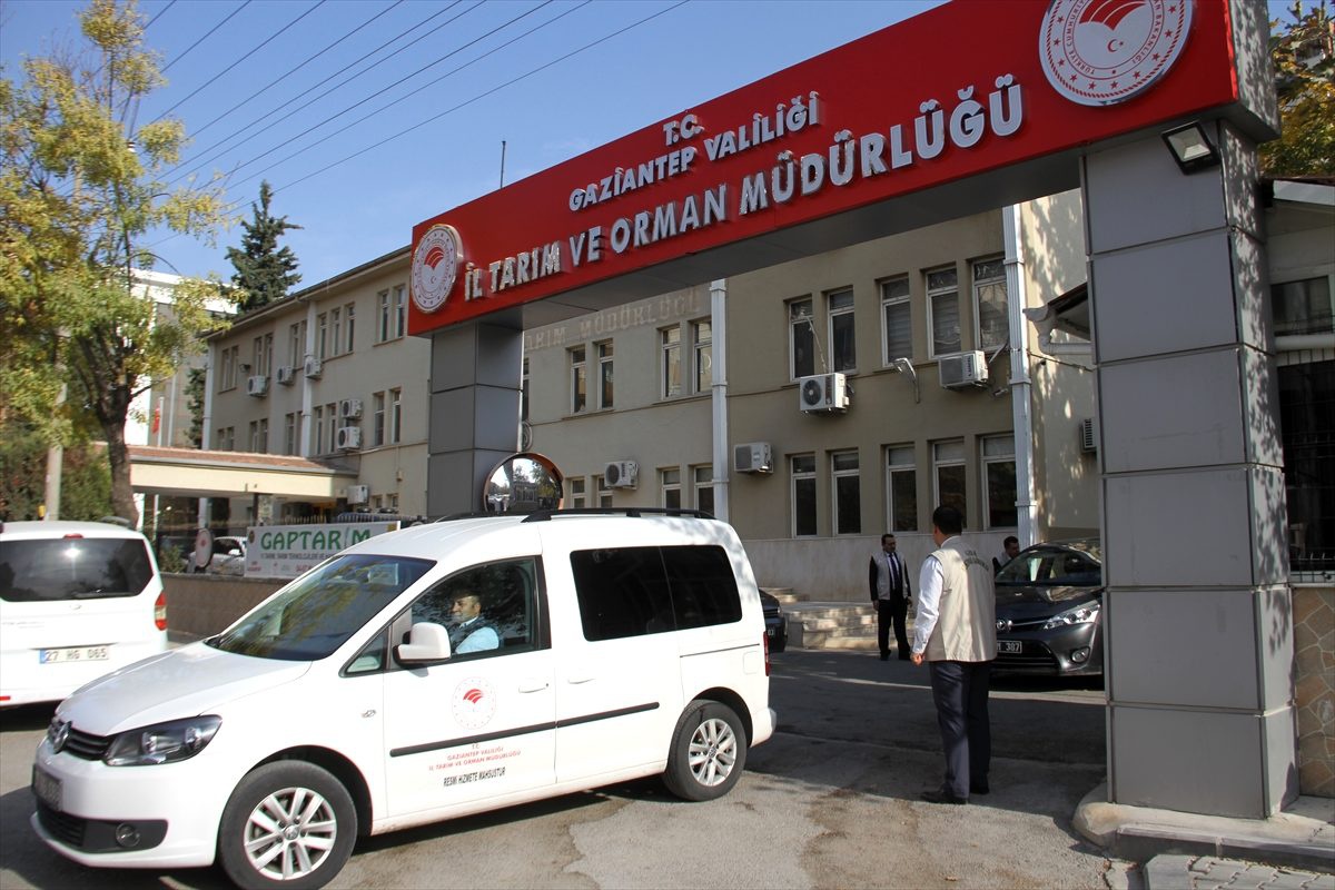 Gaziantep\'te et ve et ürünlerine yönelik denetim başlatıldı