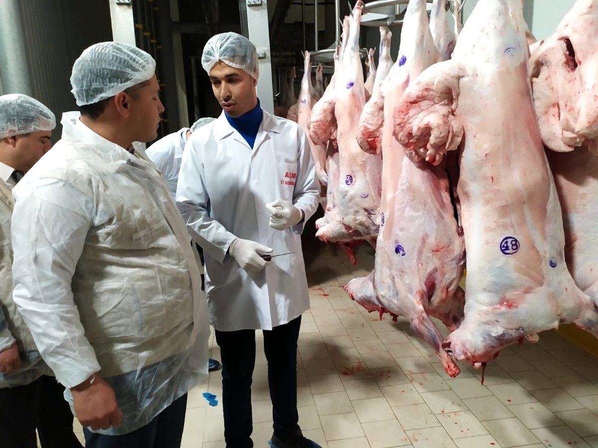 Gaziantep\'te kasaplar ve et ürünleri üretim tesisleri denetlendi