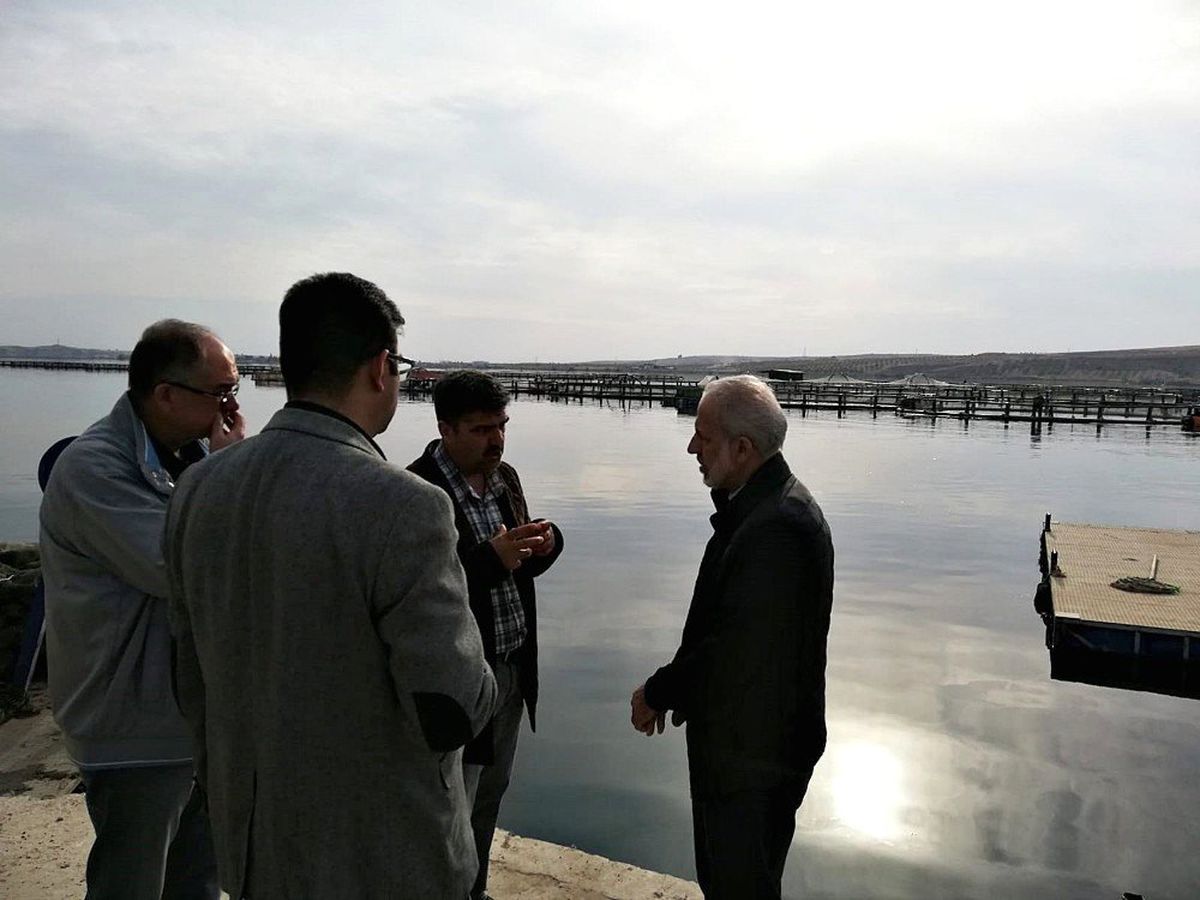 Harran Üniversitesinden alabalık üreticilerine teknik destek