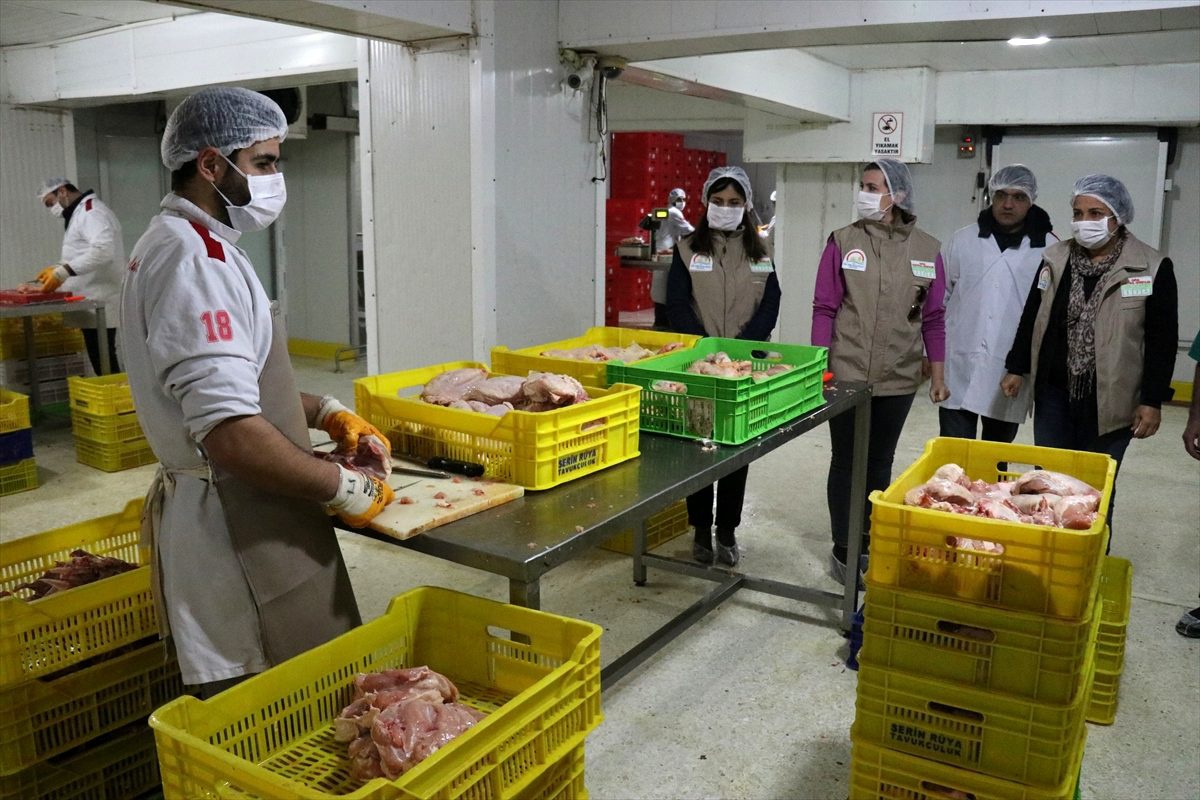 Hatay\'da et ve et ürünleri üreten iş yerleri denetlendi