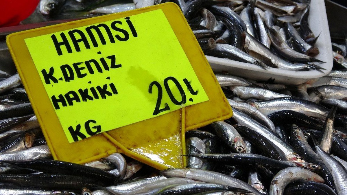 Karadeniz hamsisinin kilogram fiyatında düşüş sürüyor