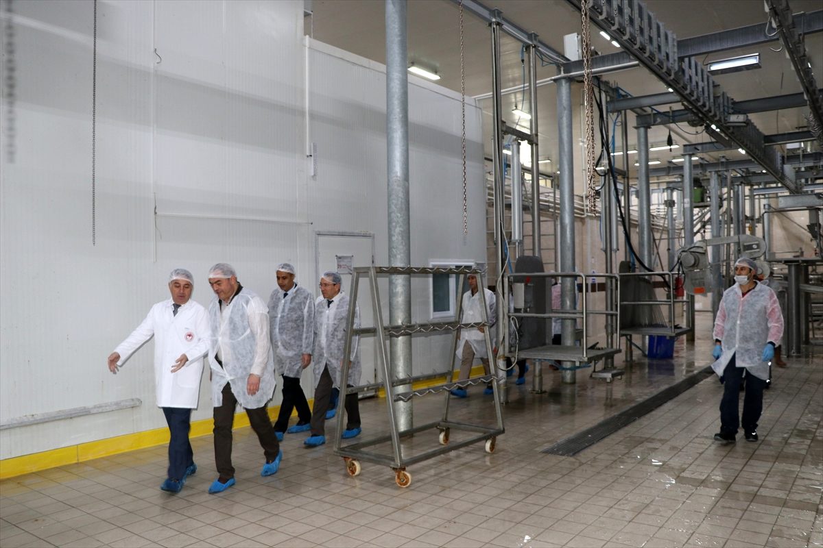 Kayseri\'de et üretim tesisleri denetlendi
