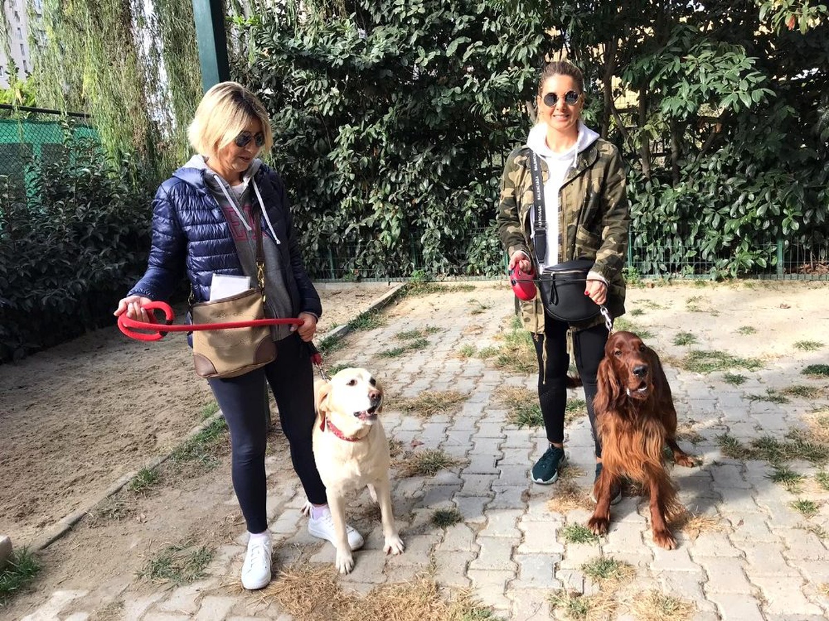 Ataşehir\'de lüks sitede kedi evi tartışması