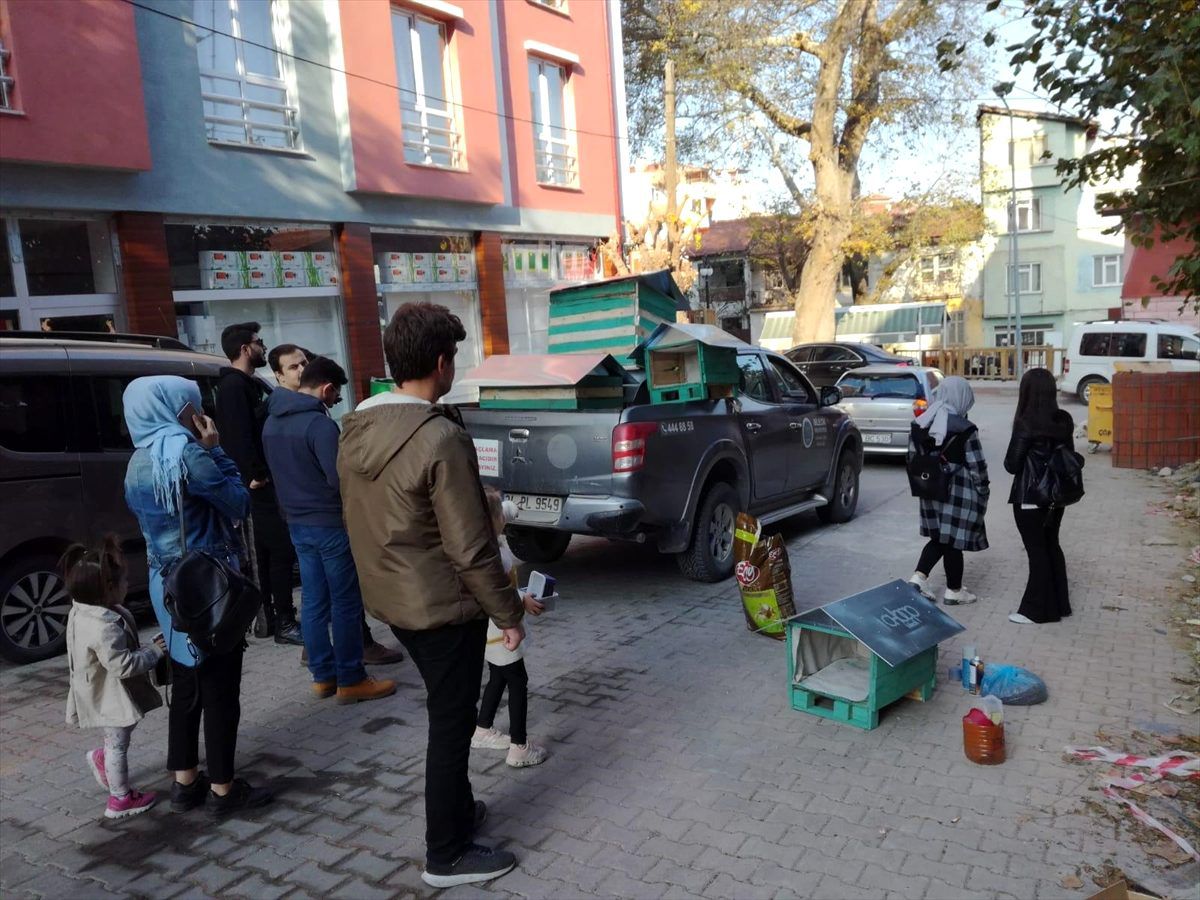Bilecik\'te sokak hayvanlarına barınak ve yem desteği