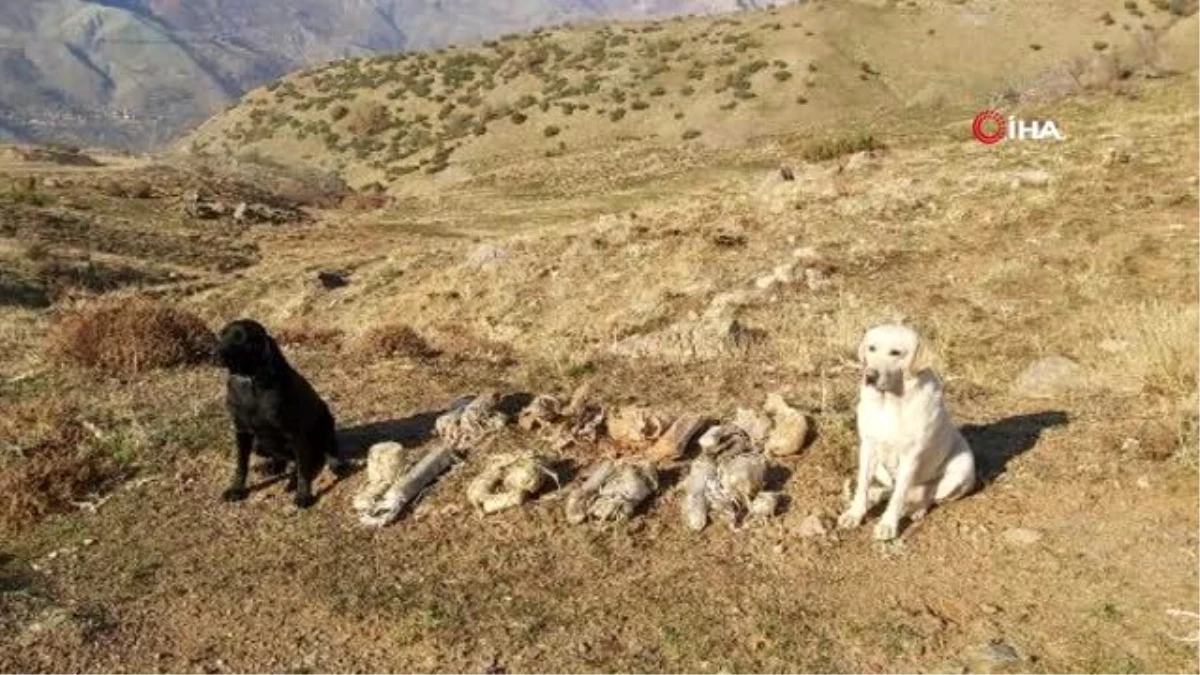 Bitlis\'te ele geçirilen 8 adet EYP böyle imha edildi