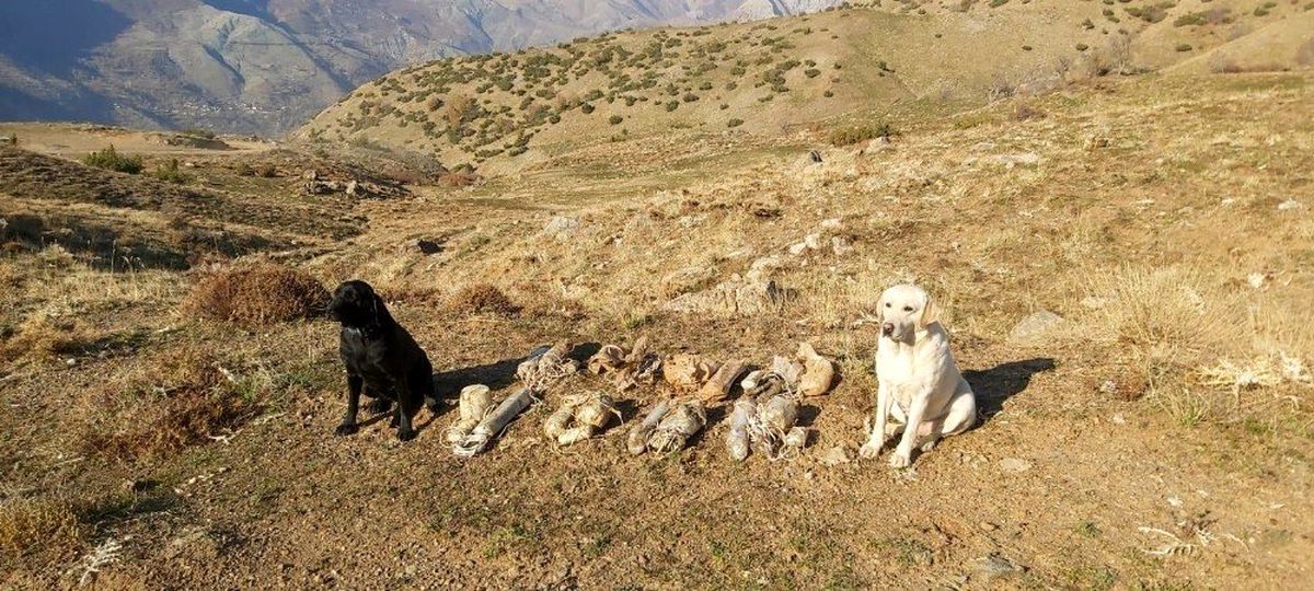 Bitlis\'te terör örgütüne ait 8 adet EYP ele geçirildi