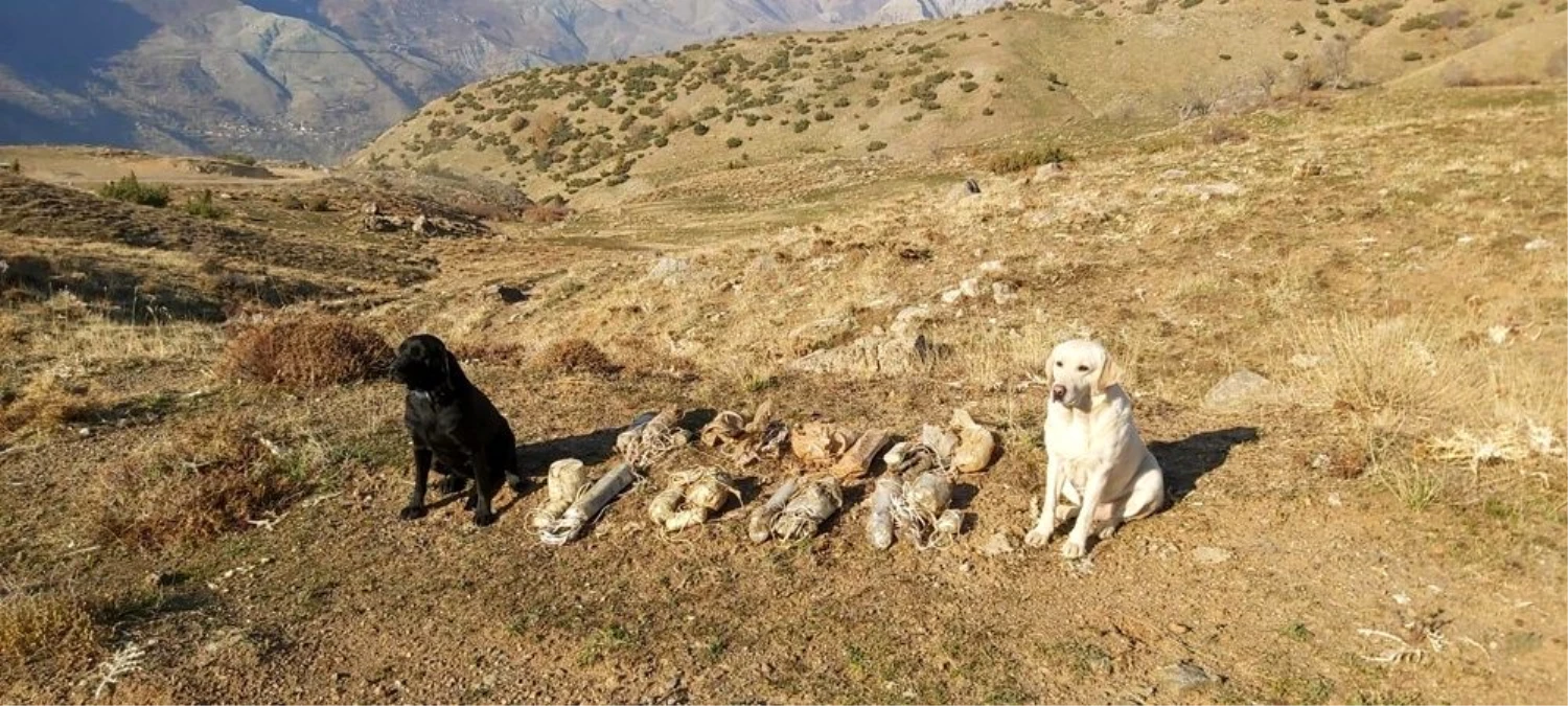 Bitlis\'te terör örgütüne ait 8 adet EYP ele geçirildi
