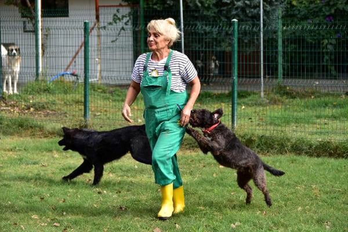 Can dostları için havuzlu villa satın aldı