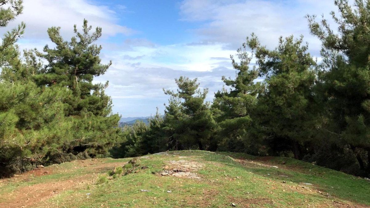 Cinayete kurban giden kayıp şahsın cesedi bulundu
