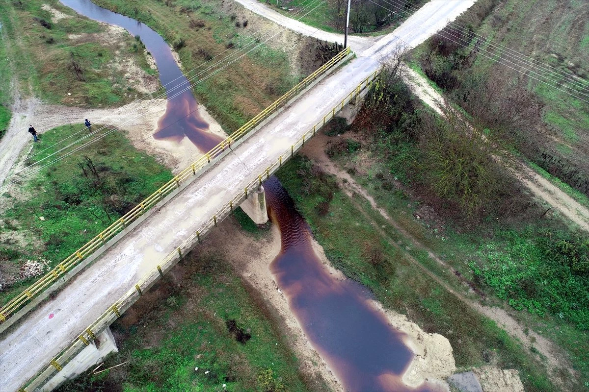 Edirne\'de Hasan Ağa Deresi kirlilik kaynaklı koyu kahverengi akıyor