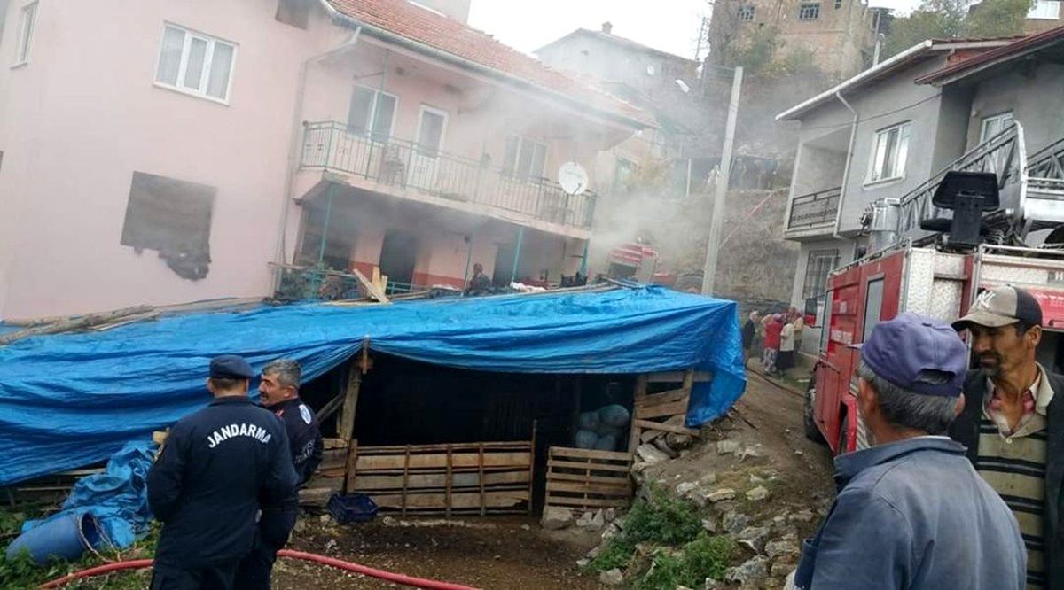 Otlar tutuştu, 3 katlı ev yandı