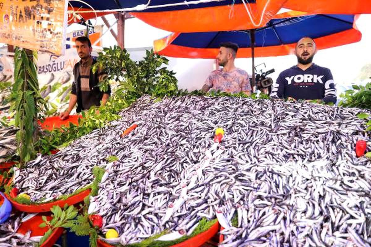 Sıcak hava, balığı ve balıkçıları vurdu