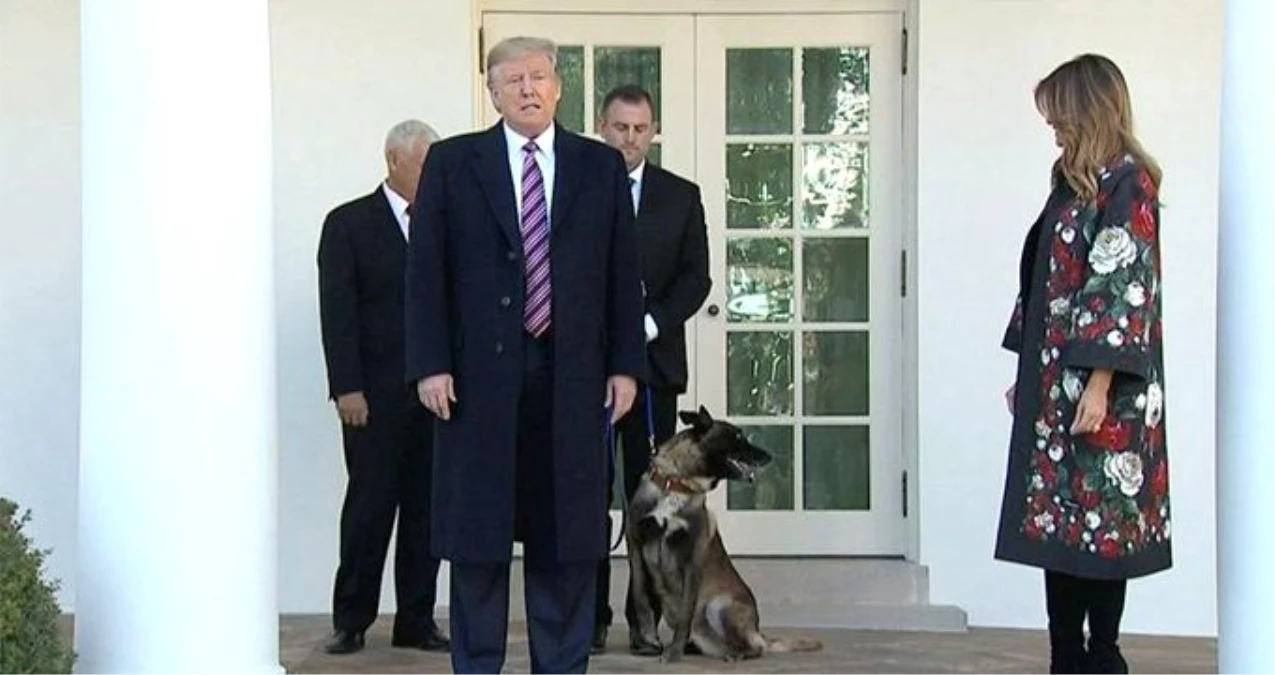 Trump, Bağdadi operasyonunda yaralanan köpeğe plaket ve madalya verdi