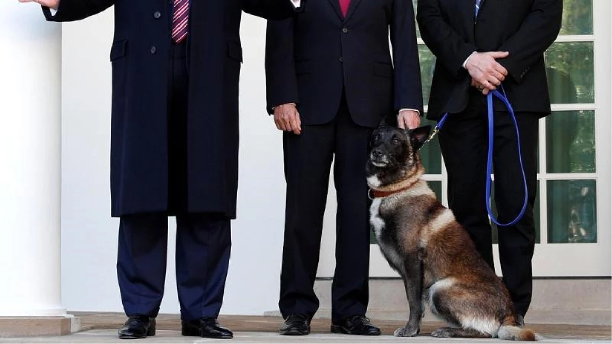 Trump\'tan, operasyonda DEAŞ elebaşı Bağdadi\'yi kovalayan köpeğe madalya