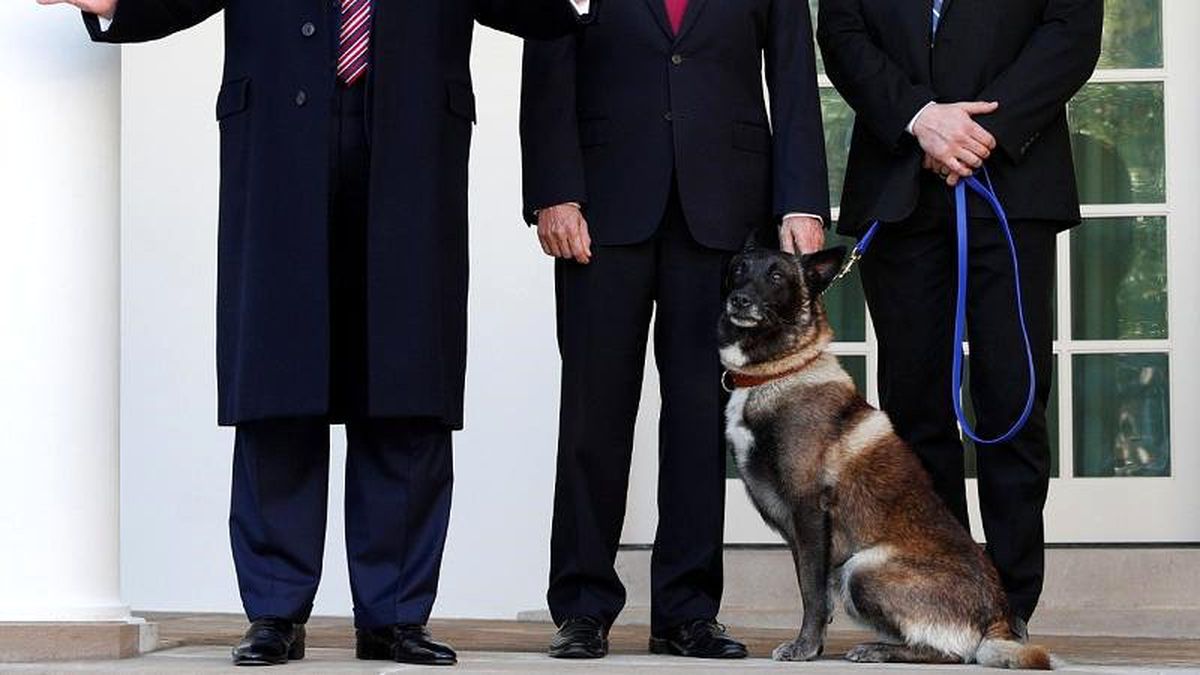 Trump, Suriye\'de El Bağdadi\'yi kovalayan köpeği Beyaz Saray\'da ağırladı