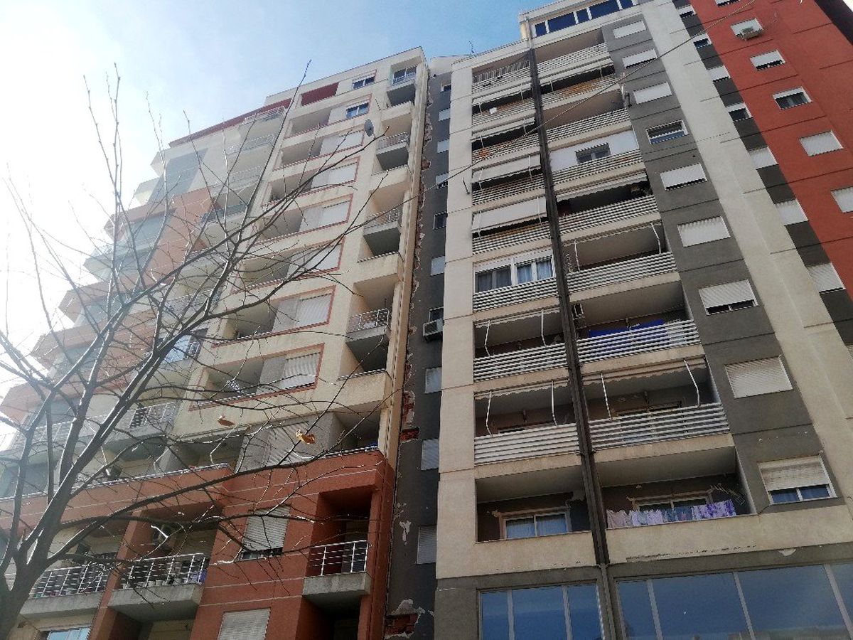 Arnavutluk\'ta arama kurtarma çalışmaları eğitimli köpeklerle sürüyor