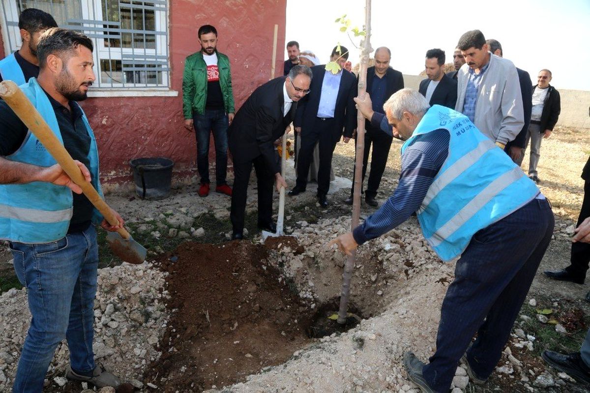 Başkan Kuş öğretmenlerle fidan dikti