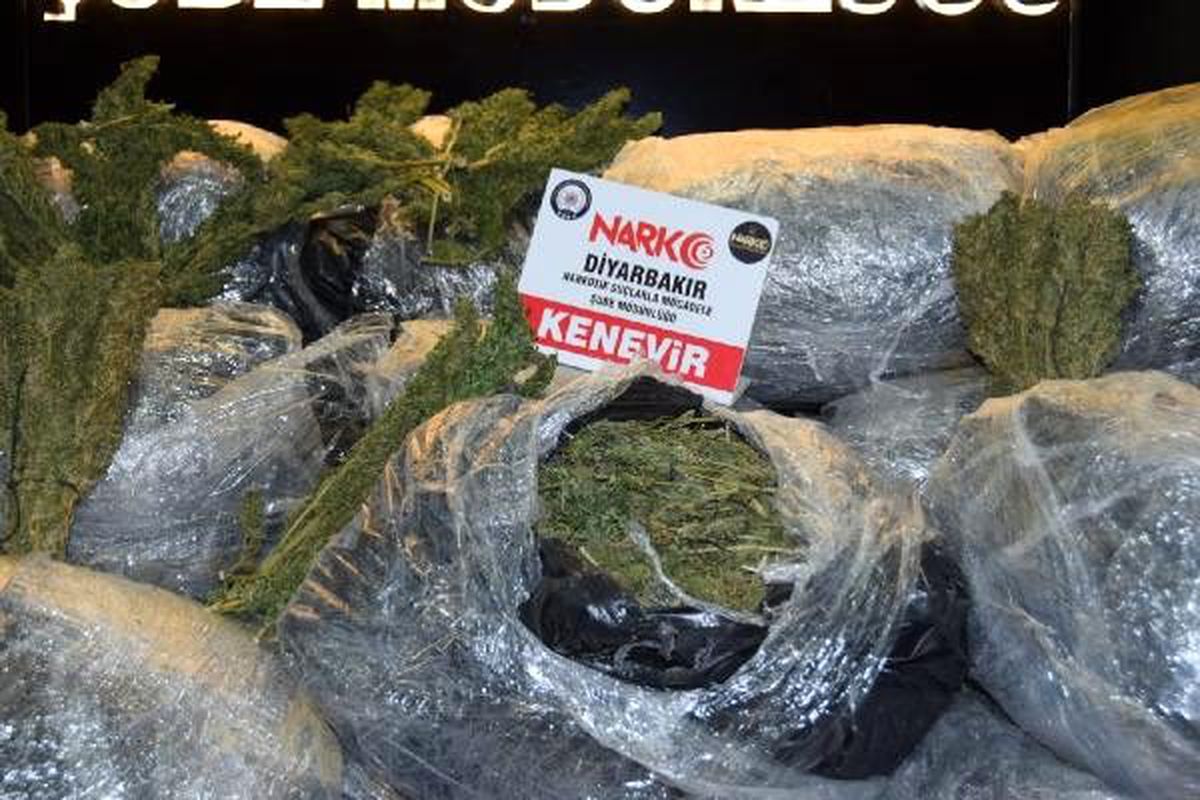 Diyarbakır\'da 558 kilo esrar ele geçirildi, 14 kişi tutuklandı
