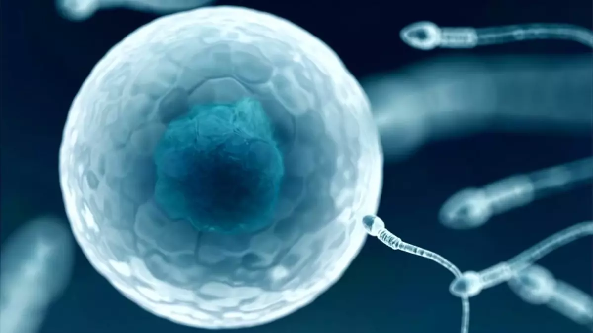 Dünyanın ilk HIV-pozitif sperm bankası Yeni Zelanda\'da açıldı