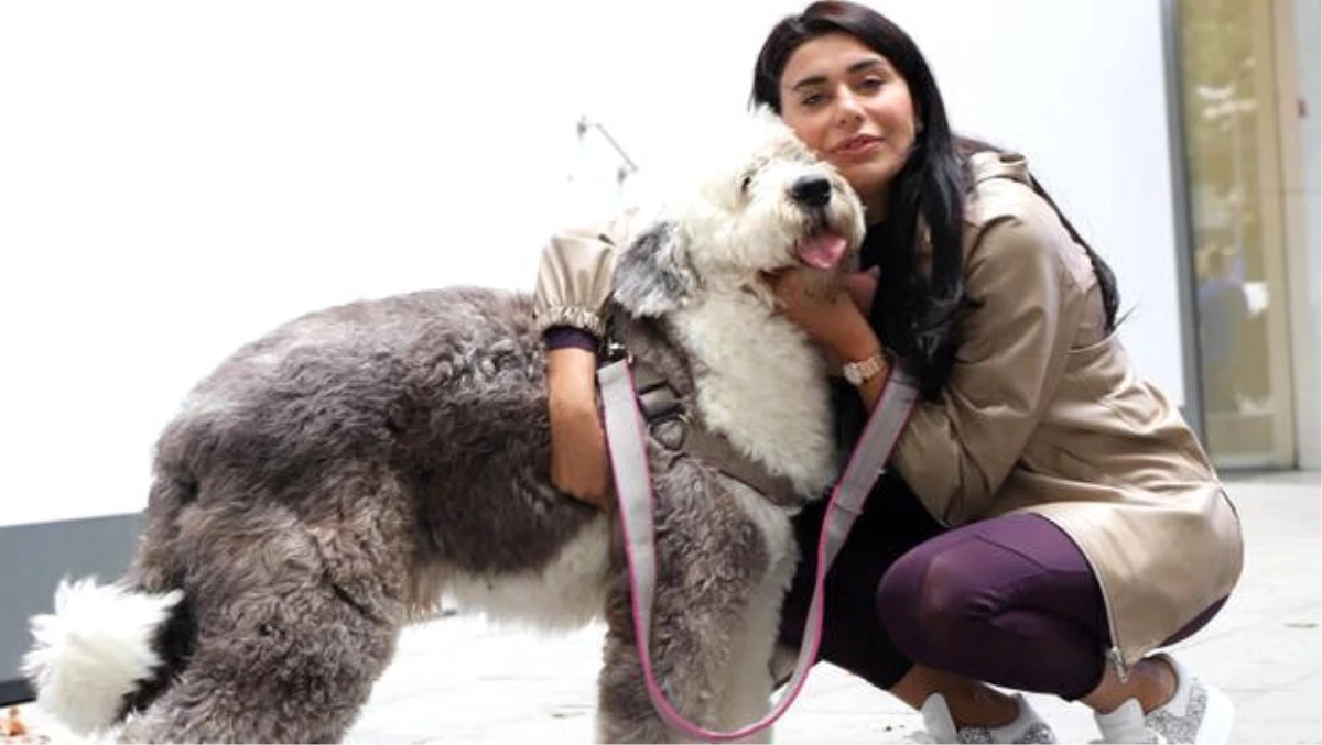 Ebru Şancı: Bir köpeğimin fön ve yıkama bedeli 150 TL