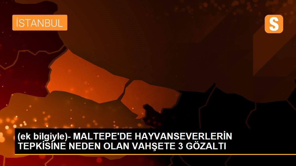 (ek bilgiyle)- MALTEPE\'DE HAYVANSEVERLERİN TEPKİSİNE NEDEN OLAN VAHŞETE 3 GÖZALTI