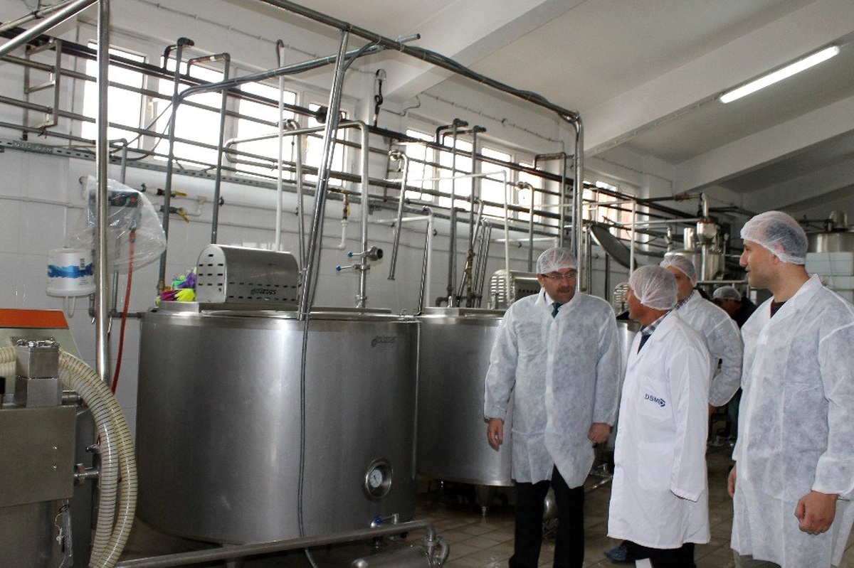 Erzincan\'da "Denetim Seferberliği" gıda kontrolleri başladı