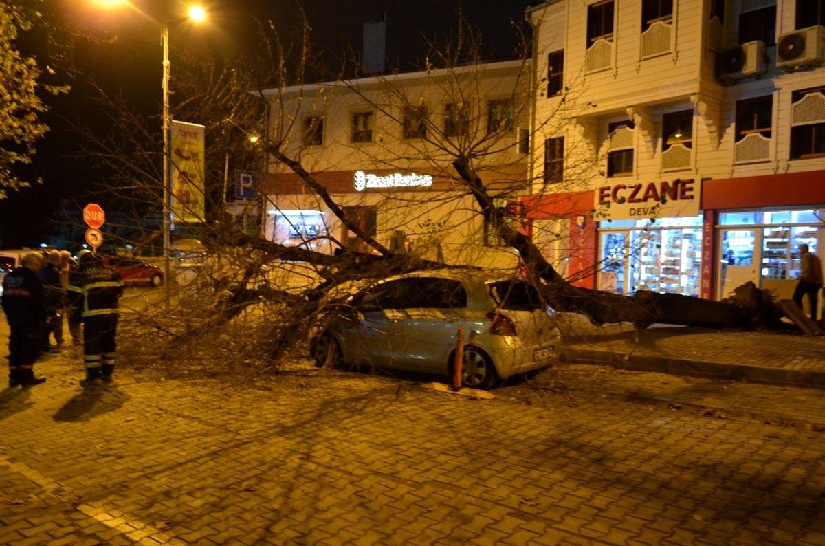 Gece yarısı korku dolu anlar... Dev ağaç otomobilin üzerine devrildi