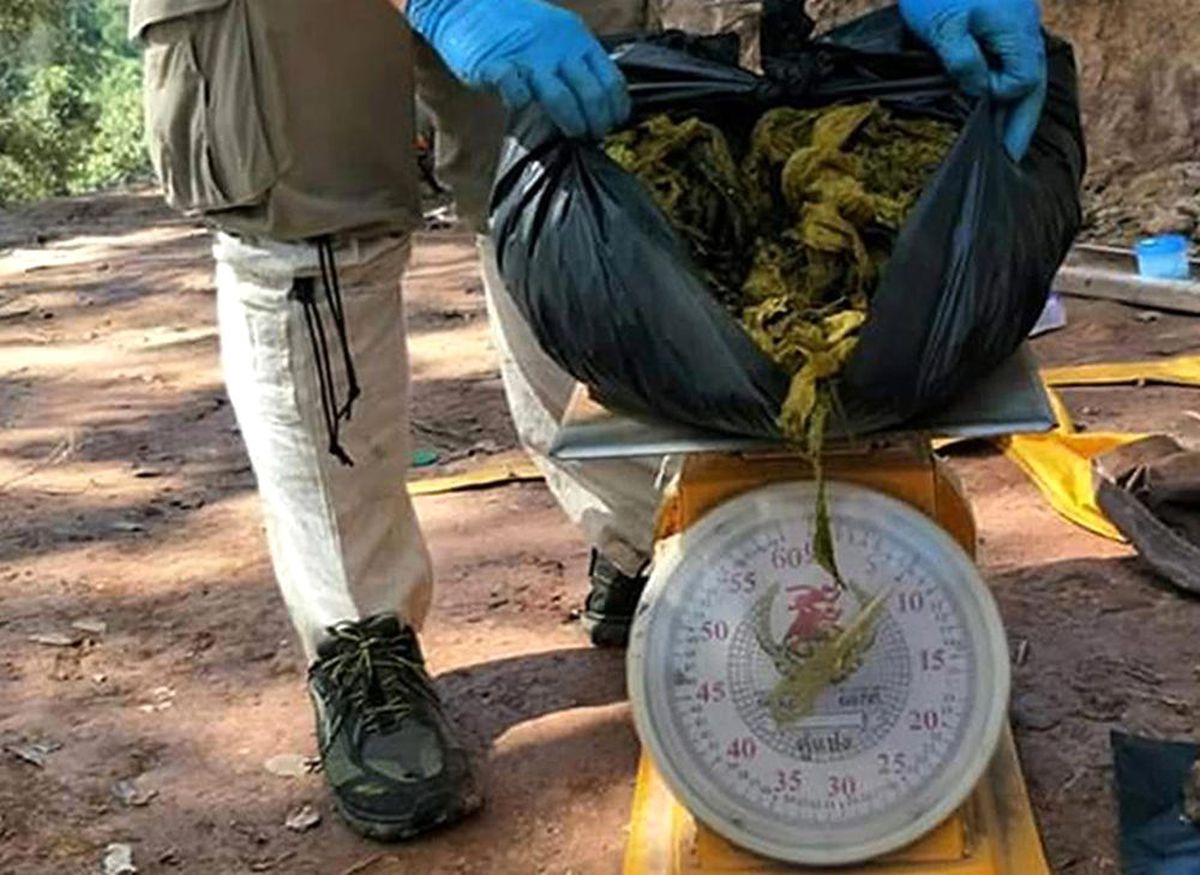 Geyiğin midesinden 7 kilogram çöp çıktı
