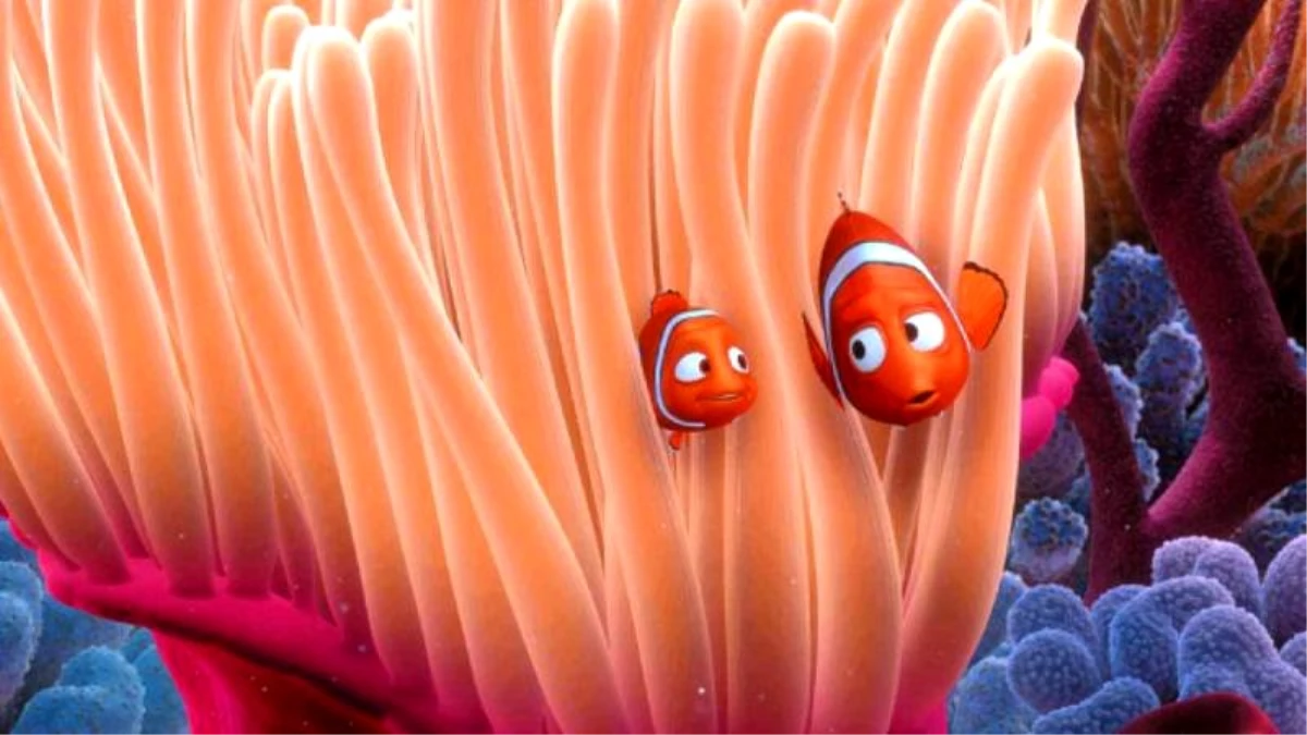 İklim krizi nedeniyle Nemo\'yu sonsuza kadar kaybedebiliriz