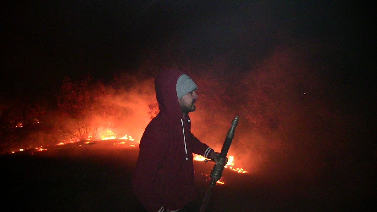 Kahramanmaraş\'ta orman yangını