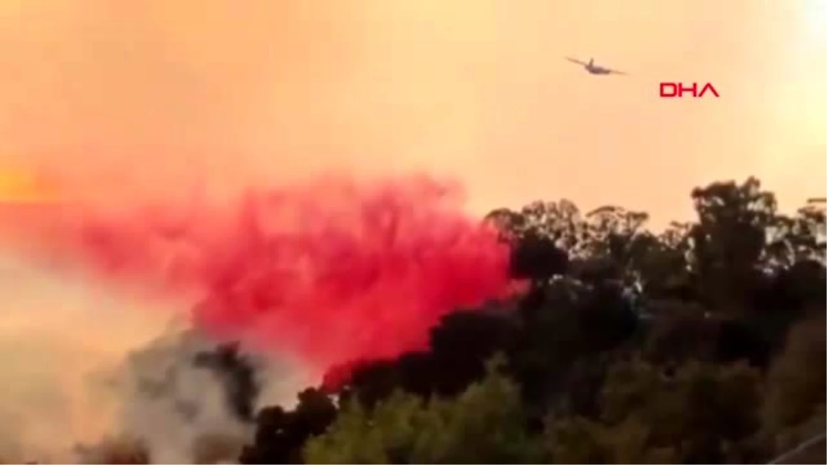 Kaliforniya\'da ulusal ormanda başlayan yangın devam ediyor