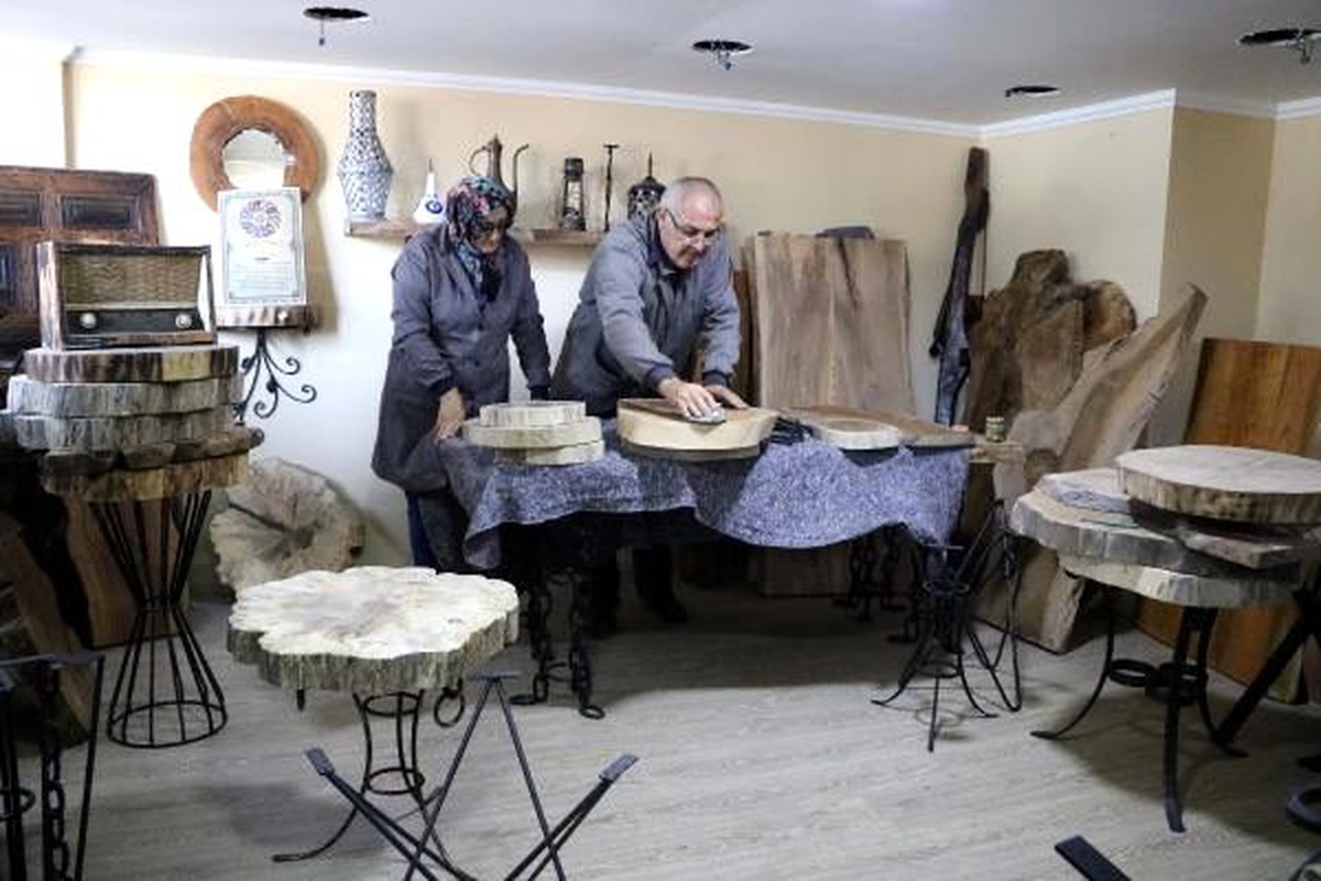 Kurumuş ağaçlar gelir kapısı oldu