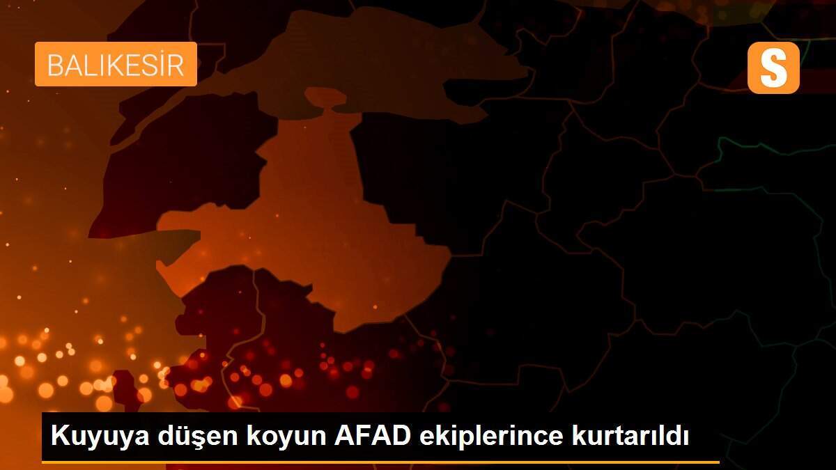 Kuyuya düşen koyun AFAD ekiplerince kurtarıldı