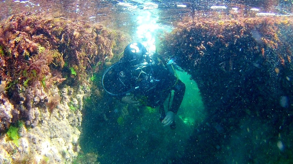 Ordu\'da 6 nokta sualtı parkur alanı ilan edildi