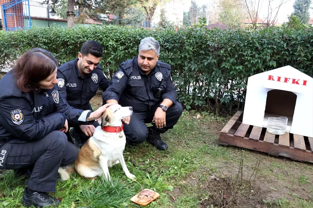 Polislerin sadık dostu "Rıfkı" kulübesine kavuştu