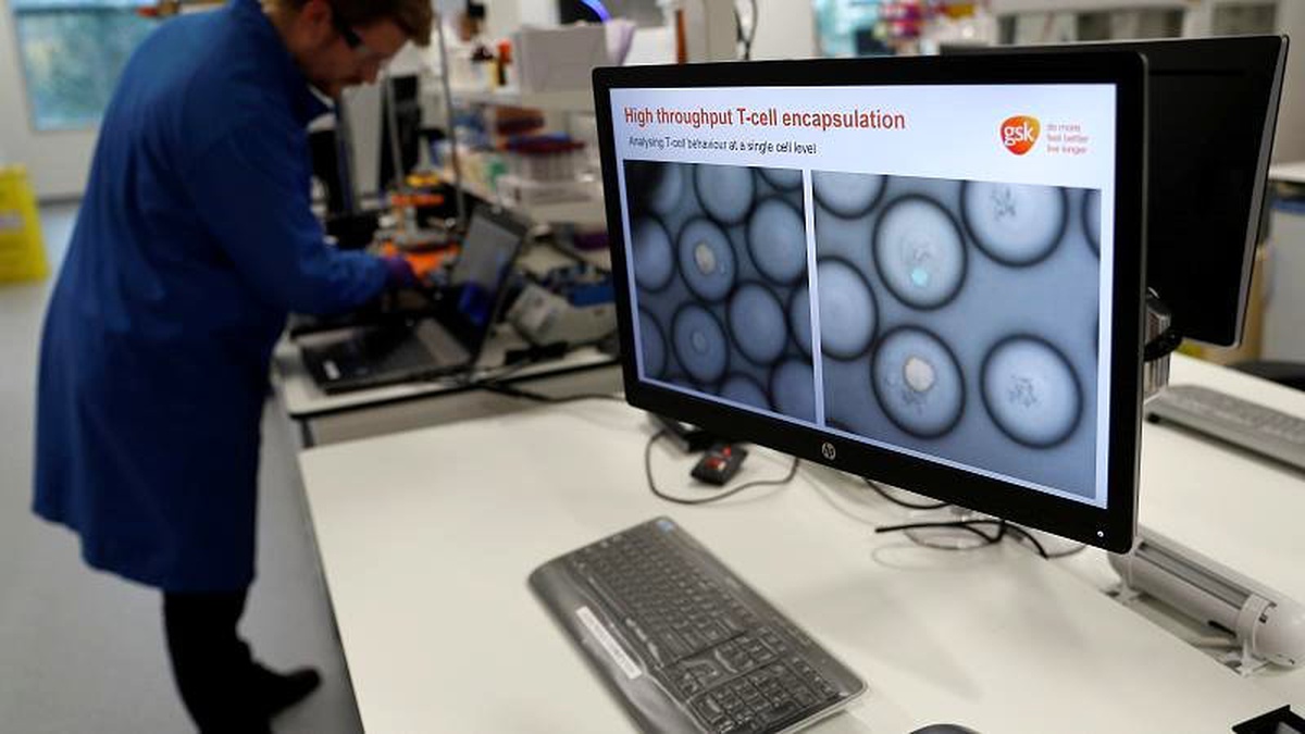Portekizli vakıftan kanser araştırmalarına 1 milyon euroluk ödül