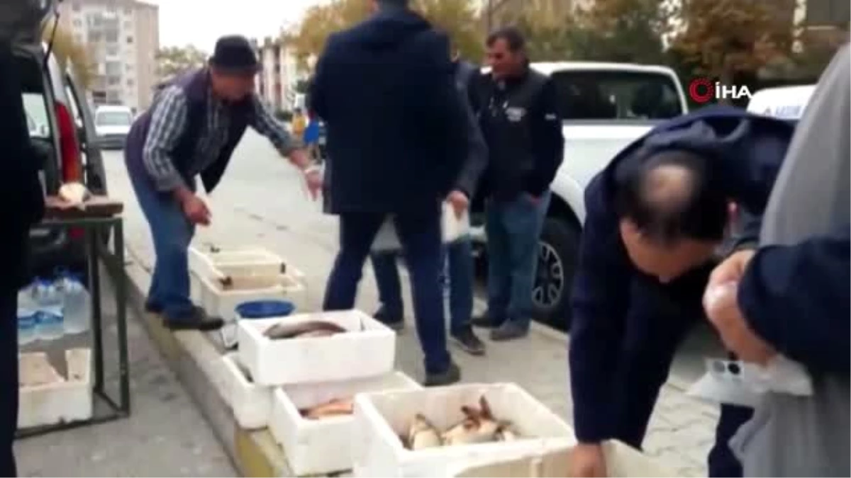 Satıcının el konulmak istenen balıklarını vermeme mücadelesi kamerada