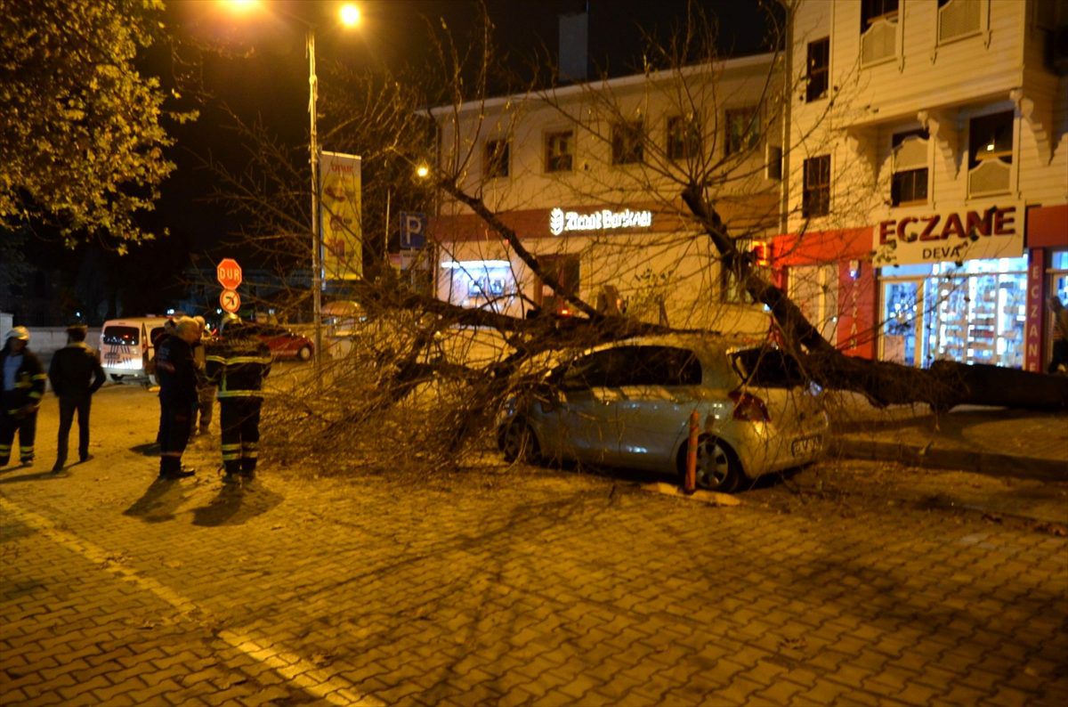 Tekirdağ\'da ağacın, otomobilin üzerine devrilmesi güvenlik kamerasında