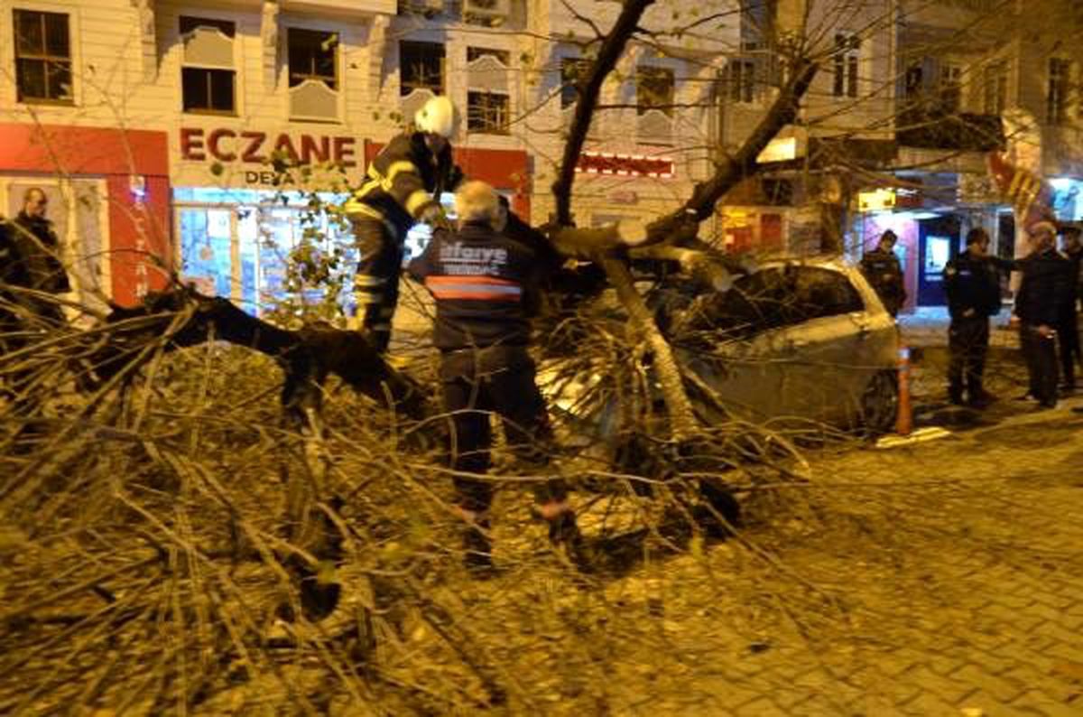 Tekirdağ\'da dev ağaç otomobilin üzerine devrildi