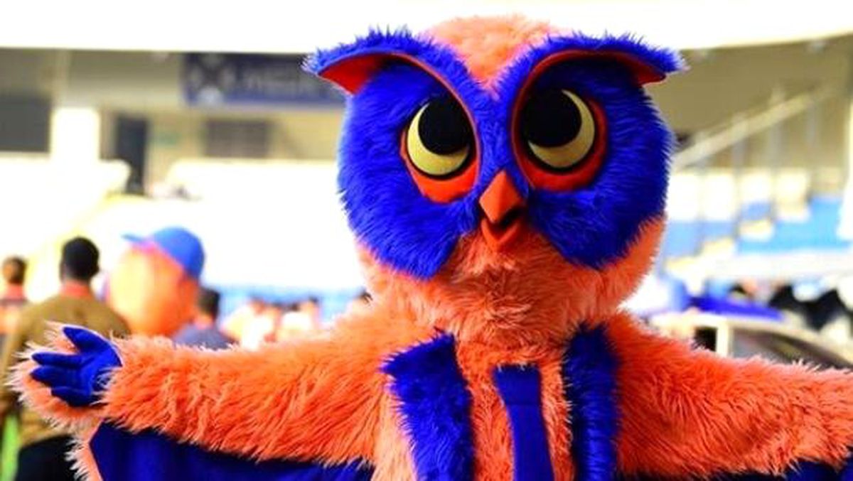 Başakşehir\'in maskotu SuperOwl rakibini bekliyor