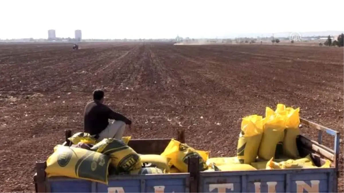 GAP çiftçisinin hububat ekim telaşı - ŞANLIURFA