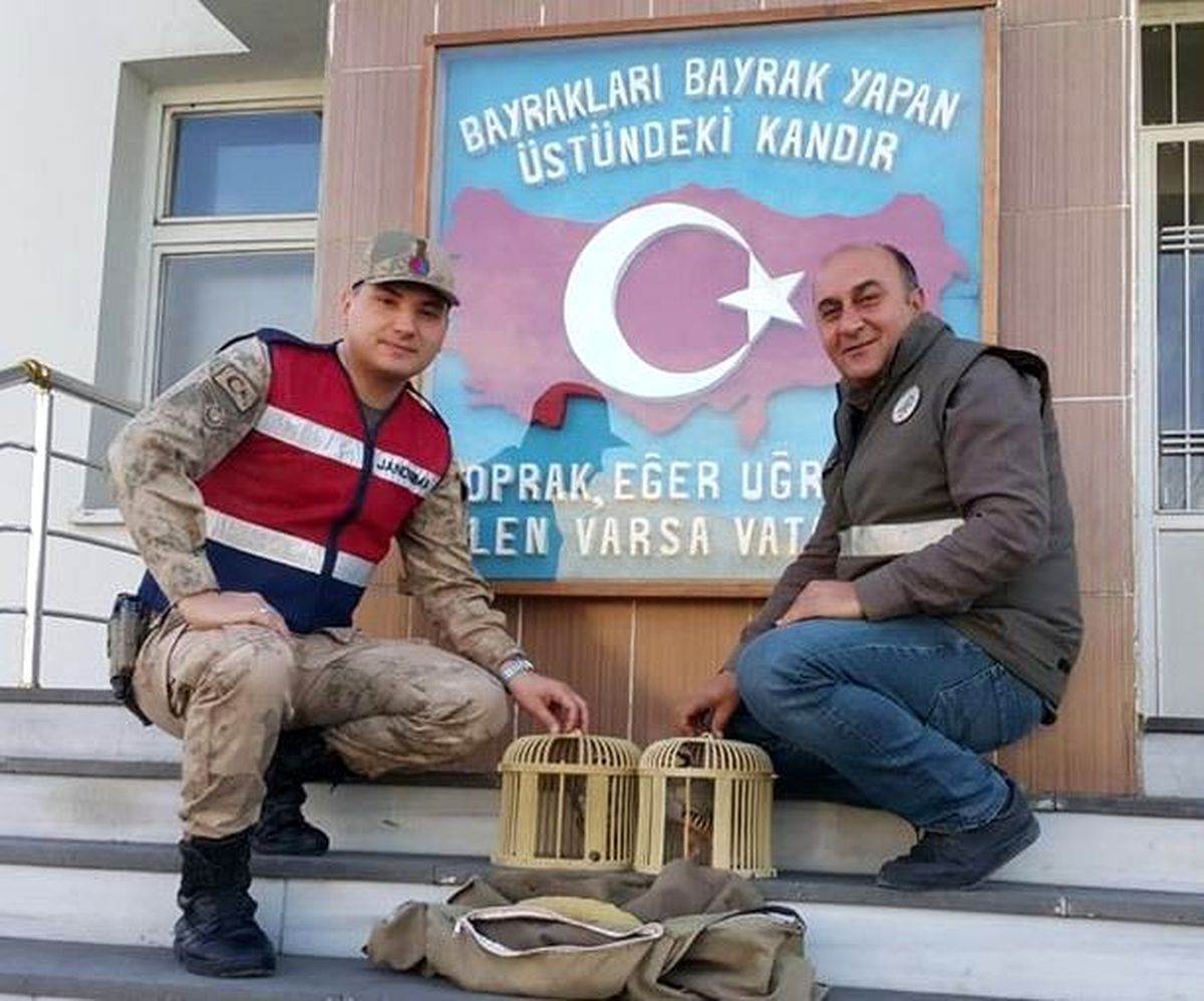 Gevaş\'ta keklik avcısına ceza