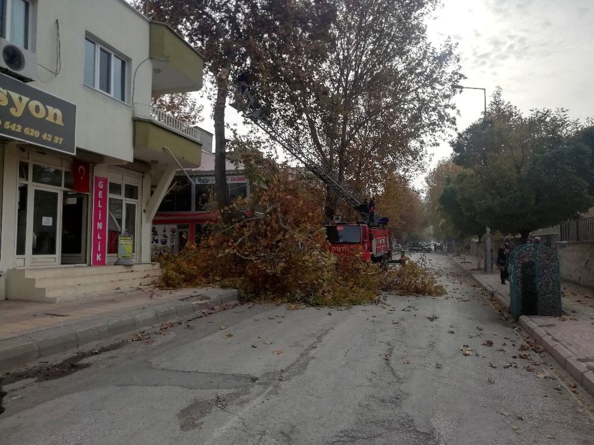 Gölbaşı ilçesinde ağaç budama çalışmaları devam ediyor