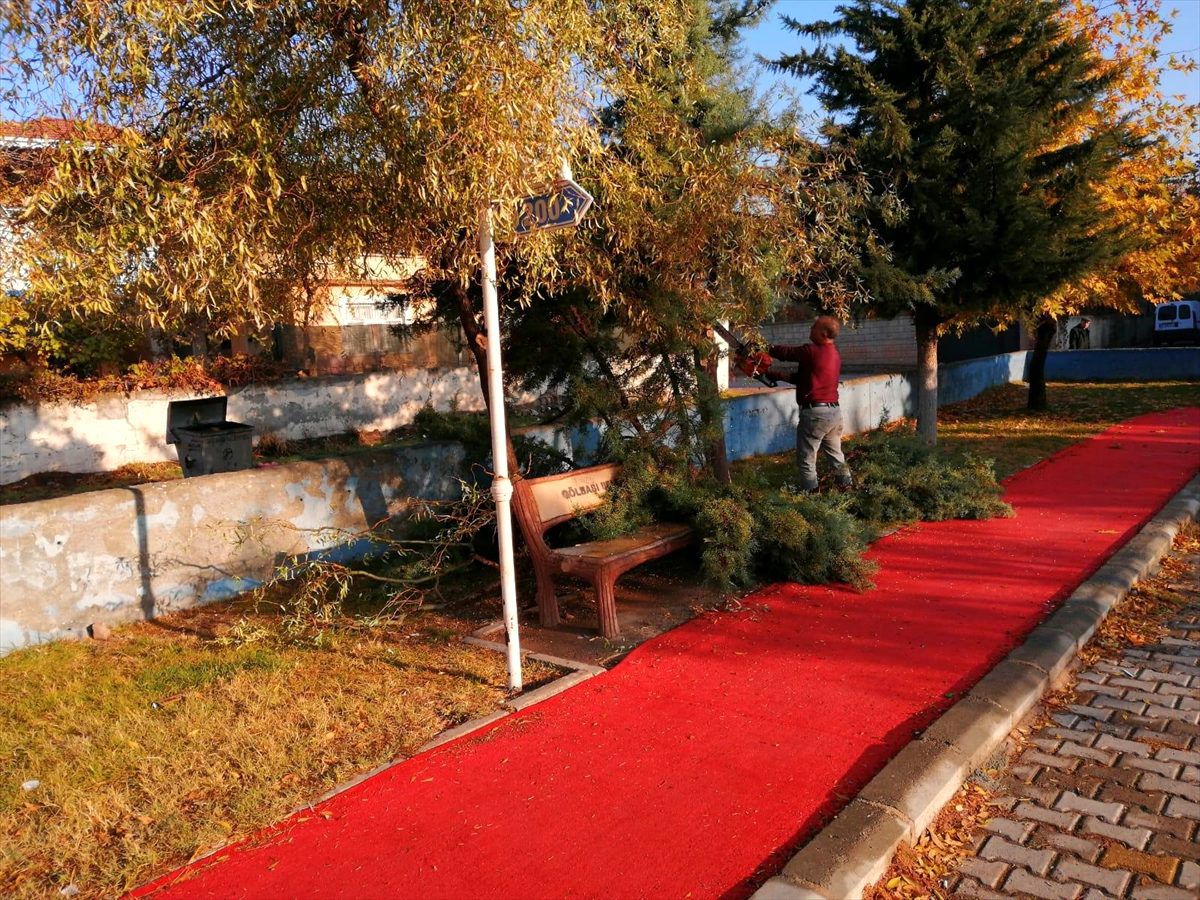 Gölbaşı\'nda ağaç budama çalışmaları devam ediyor