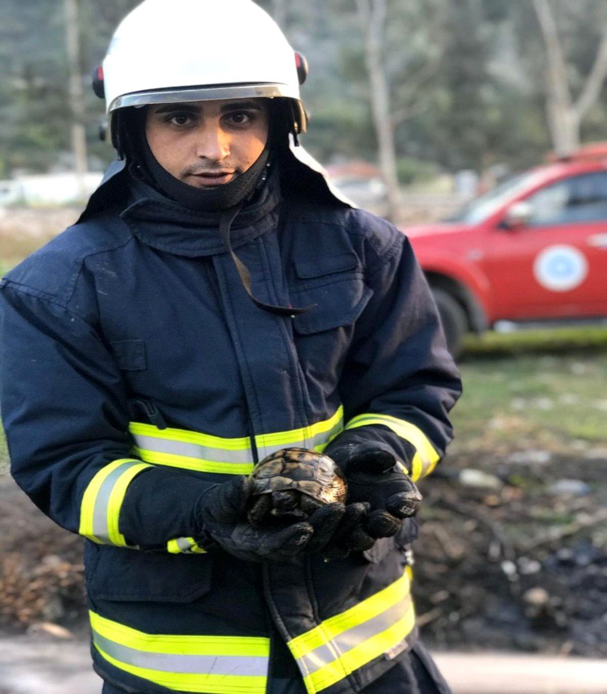 İtfaiye ekipleri kaplumbağayı yanmaktan kurtardı