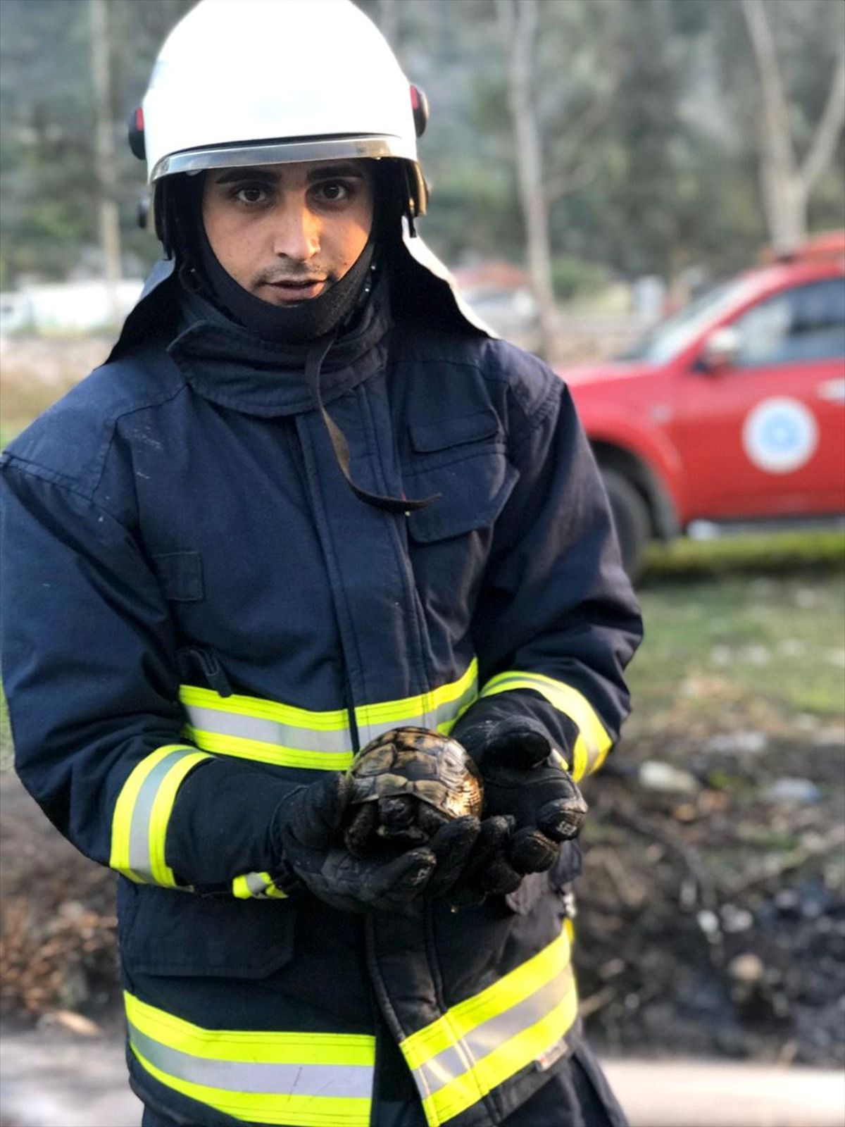Kaplumbağayı yanmaktan itfaiye kurtardı