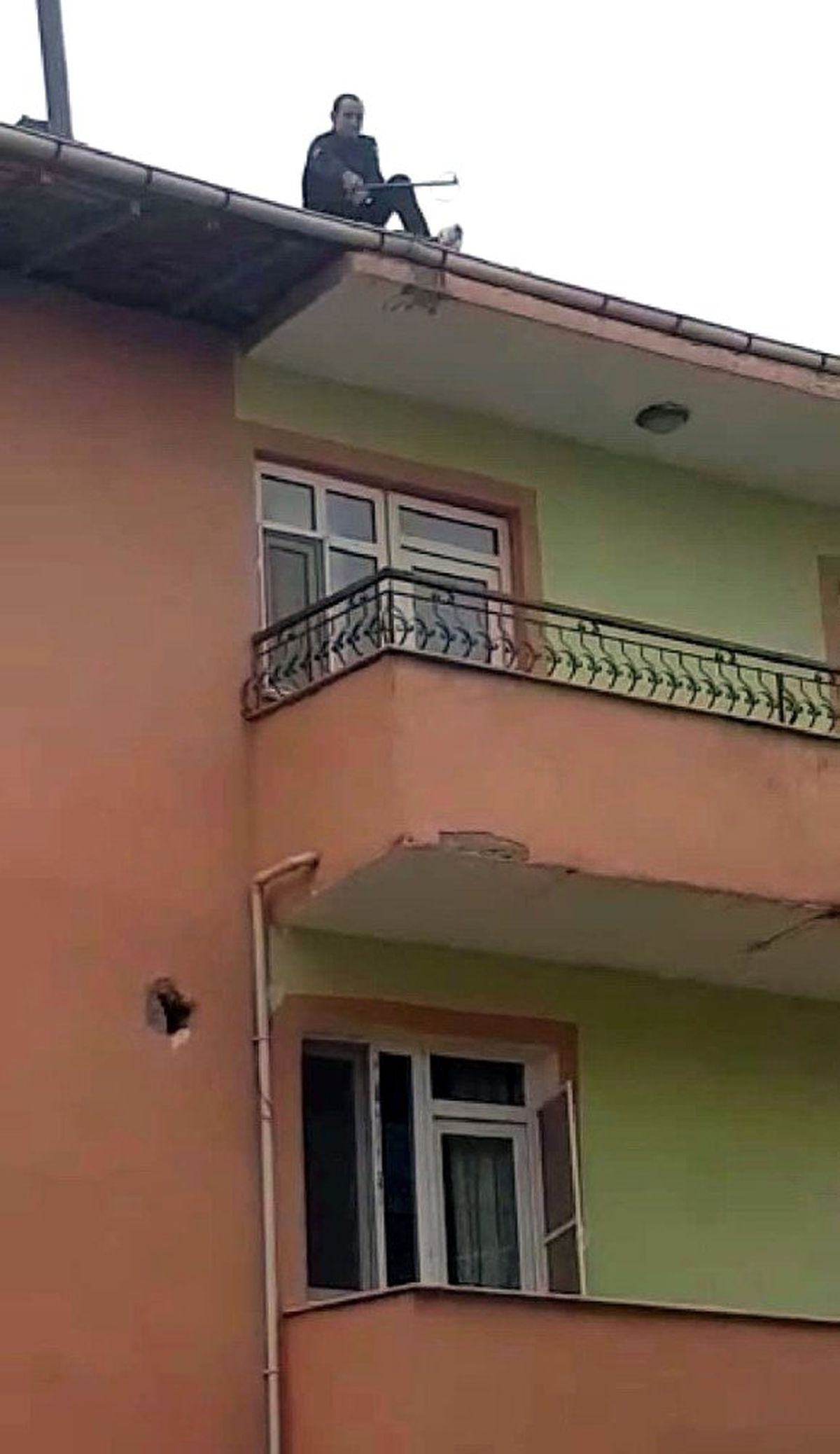 Mahsur kalan kediyi itfaiye kurtardı