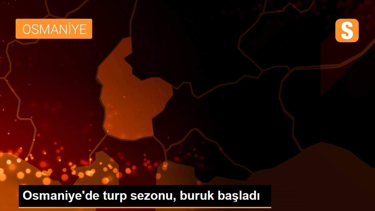 Osmaniye\'de turp sezonu, buruk başladı
