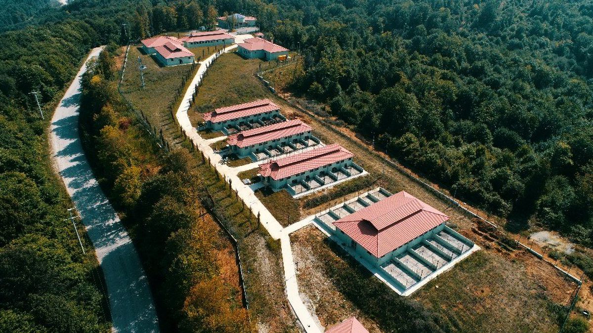 Sahipsiz hayvanlar için yeni çalışma yolda